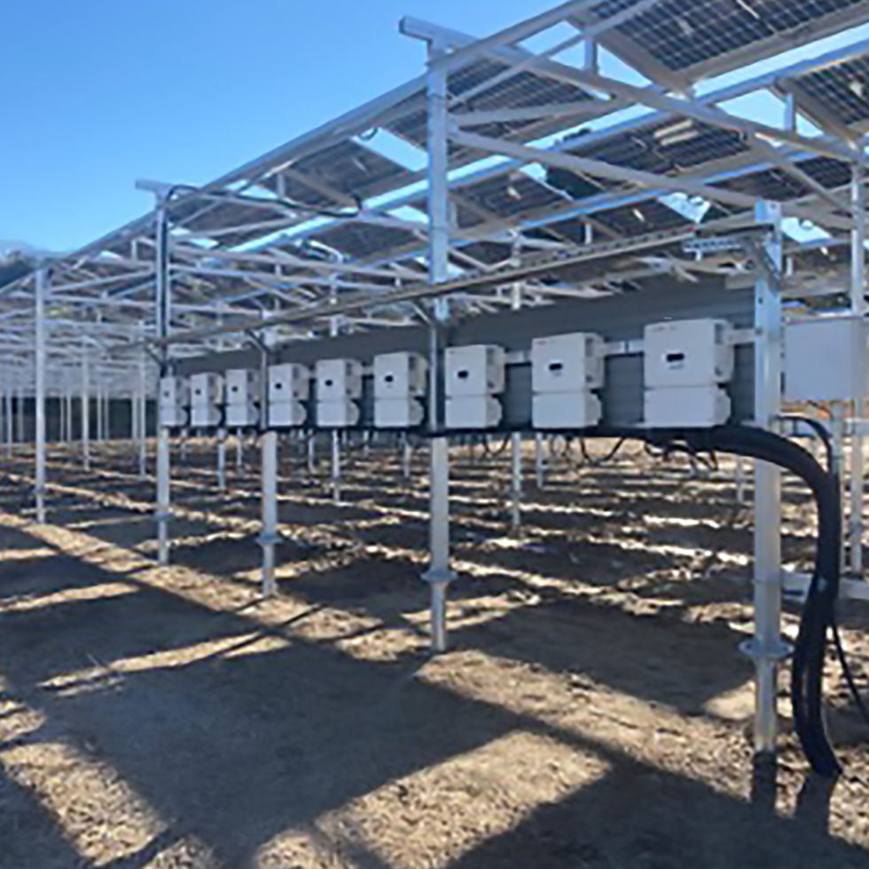 ソーラーシェアリング