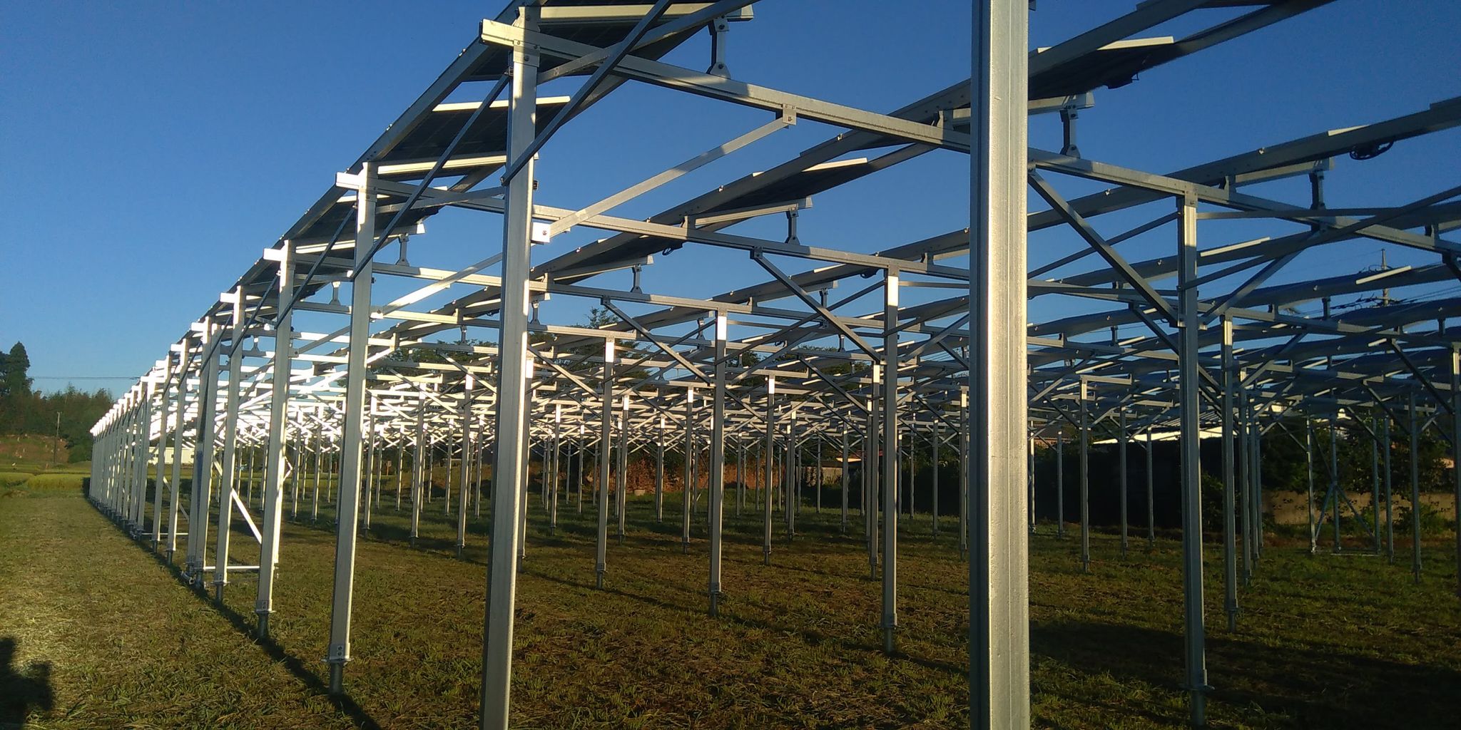 ソーラーシェアリング